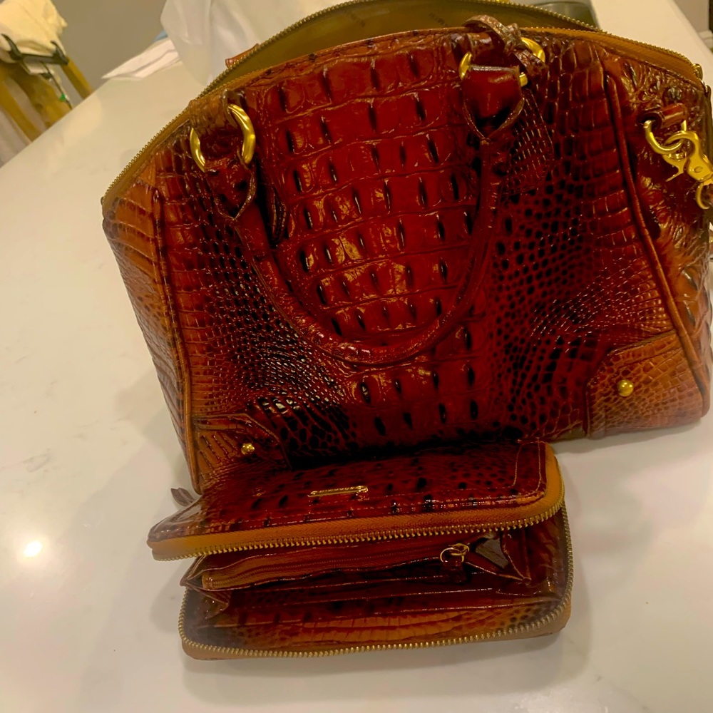 Coffee color Brahman purse with matching wallet